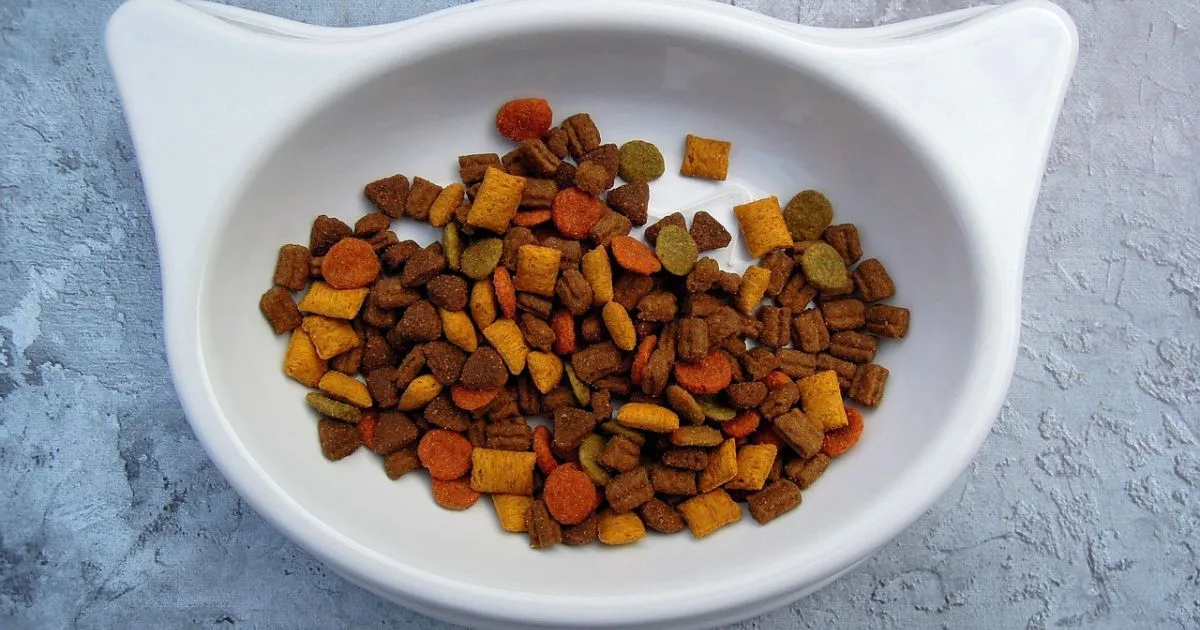 how to switch cat food